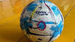 Участниками проекта «Футбол в школе» стали 83 школы Ставрополья