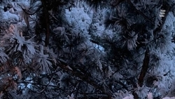 Большой крещенский костёр разожгут в Ессентуках