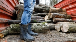 Субботник у Никольского храма пройдёт в Ессентуках 3 мая