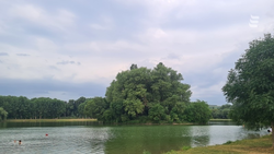 День отца отметят в Ессентуках на городском озере 19 октября