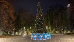 Ёлку и арт-объекты установили на территории Пограничного сквера в Ессентуках