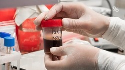Выездной день донора проведут в Ессентуках 17 июля