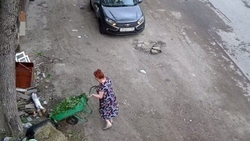 Фотоловушки фиксируют нарушителей чистоты в Ессентуках 