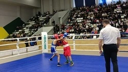 Юный ессентучанин поучаствует в первенстве Европы по шахбоксу в Стамбуле