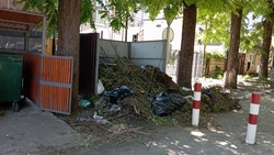 Глава Ессентуков призвал жителей курорта выбрасывать мусор правильно