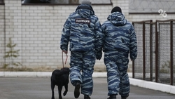 Информацию о минировании лицея №6 проверяют в Ессентуках 8 декабря