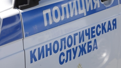 Техникум в Ессентуках проверяют из-за сообщения о минировании