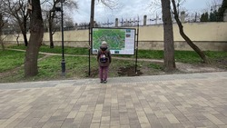 Стенды с картами пешеходных маршрутов обновляют в Ессентуках