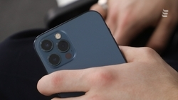 Зоозащитницу подозревают в отправке порно ребёнку-жертве нападения собаки на КМВ