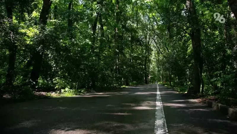 Субботник в районе русла реки Бугунта проведут в Ессентуках 