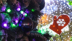 Австралия, Кавказ, Минводы: россияне назвали популярные направления в новогодние каникулы