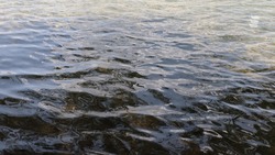 Безопасность детского отдыха на озере проверят в Ессентуках