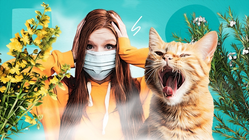 Как бороться с аллергией осенью на Кавминводах — карточки