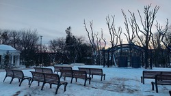 В Курортном парке Ессентуков завершается благоустройство аллеи