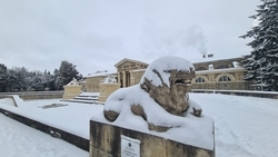 Заметает зима: фоторепортаж из заснеженных Ессентуков