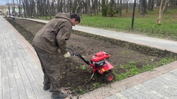 На клумбах в Ессентуках высадят 85 тыс. цветов