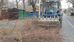 Мешавшие пешеходам кустарники обрезали после жалобы мэру Ессентуков