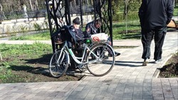 Испортившего качели в Курортном парке Ессентуков вандала привлекли к ответственности