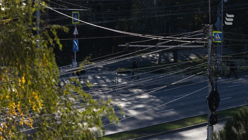 Свет отключили в Ессентуках 1 декабря из-за обрезки деревьев