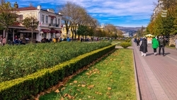 Города-курорты КМВ соединят пешеходными маршрутами