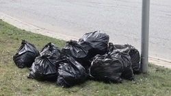 «Общегородские субботники продолжаются в Ессентуках» — мэр Крутников