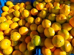 Ессентучане могут посетить ярмарку выходного дня 22 ноября 