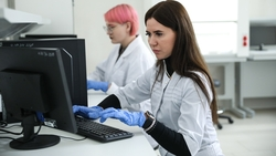 Учёные из СКФУ повысят племенную производительность мясных пород овец