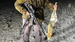 Сезон охоты на пушных животных завершился в Ставропольском крае