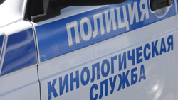 Школу №1 в Ессентуках проверяют после угрозы минирования