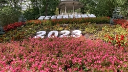 Дождь ожидается на Ставрополье 27 октября