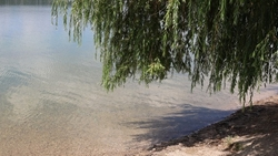 Городское озеро Ессентуков готовят к купальному сезону