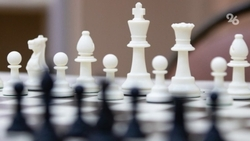 Межрегиональный шахматный турнир организуют в Ессентуках