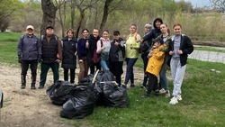 Ессентукские активисты собрали 300 мешков мусора на субботнике 