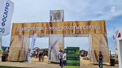 Более 1,1 тыс. ессентучан побывали на выставке «Всероссийский день поля»