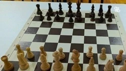Первые на Ставрополье соревнования по шахбоксу пройдут в Ессентуках