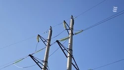 Кот оставил без электричества половину Ессентуков 23 марта