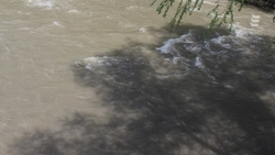 Субботник на берегу реки Подкумок пройдёт в Ессентуках 6 апреля