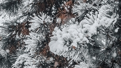 Ессентуки бронируют раньше других городов КМВ на Новый год