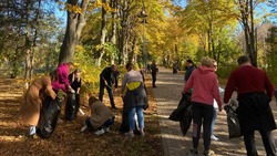 Более 500 мешков опавшей листвы собрали на общегородском субботнике в Ессентуках