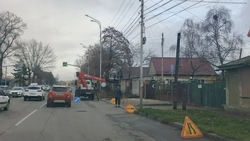 Сухое дерево спилили на курорте после обращения в редакцию «Портала Ессентуков»