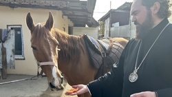 В Ессентуках начнут реабилитировать ветеранов СВО