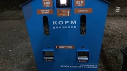 Автоматы с кормом для белок в Ессентуках пополняют каждый день
