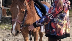 Новогодние конные прогулки запустят для маленьких жителей Ессентуков