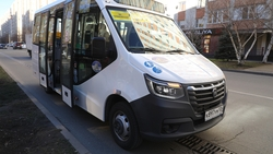 Детям участников СВО начнут выдавать льготные проездные в Ессентуках