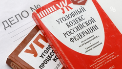 Юрист в Ессентуках обещал лишить родительских прав экс-жену клиента за 200 тыс.