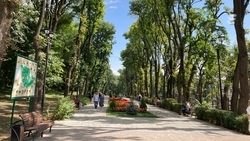 Более 120 тыс. кв. м обработали от клещей в Ессентуках в Курортном парке