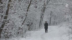 Мэр Ессентуков пригрозил отправить чиновников убирать снег