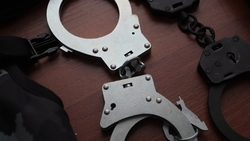 Ессентучанин, поджёгший будку с собакой, отправится в колонию строгого режима