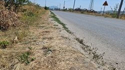 Тротуар построят возле новой школы в Ессентуках