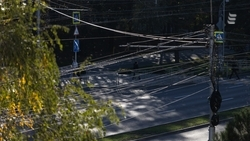 Свет отключили в Ессентуках 1 декабря из-за обрезки деревьев